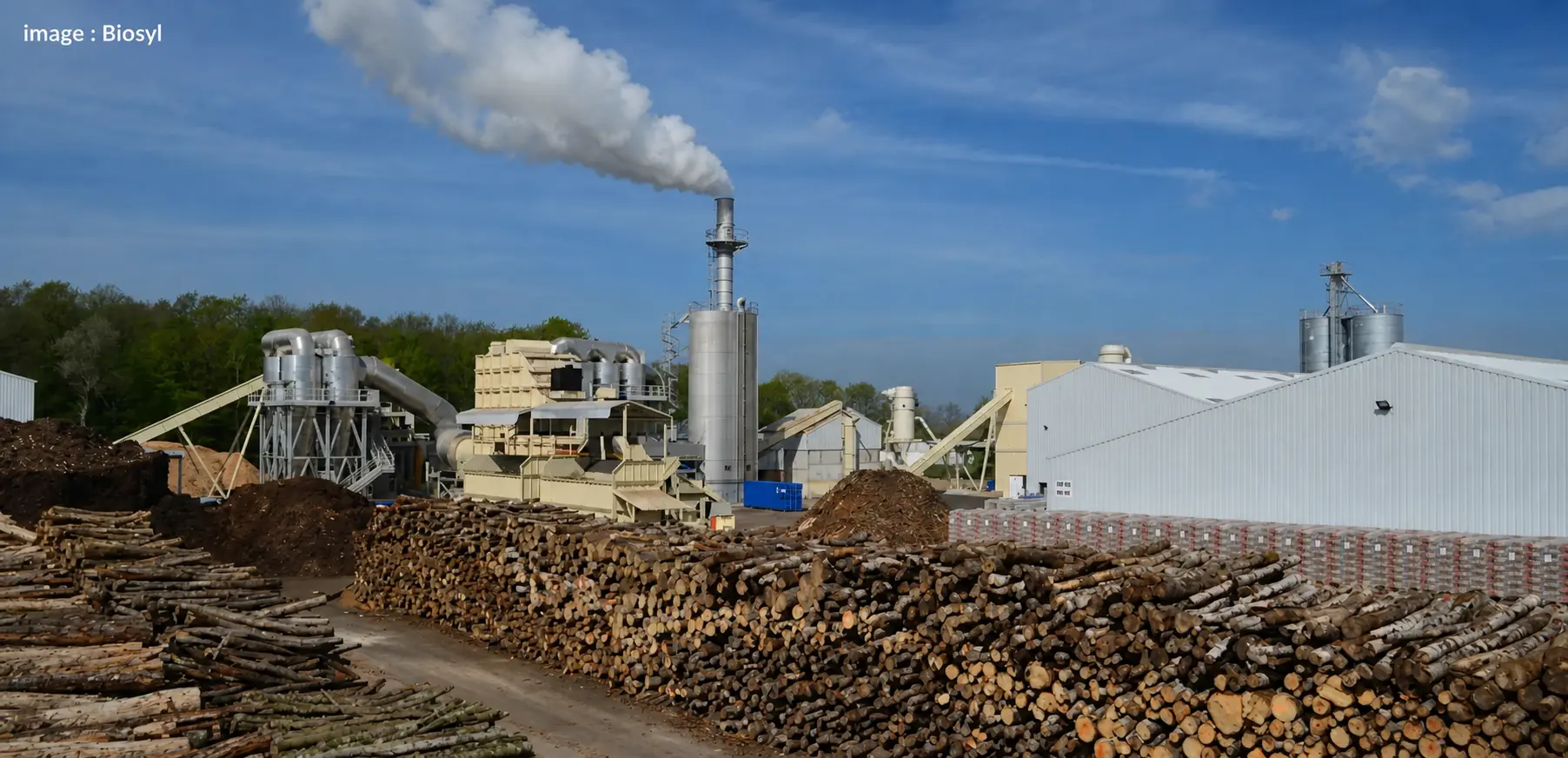 La fabrication des pellets : de la sciure au granulé de bois performant