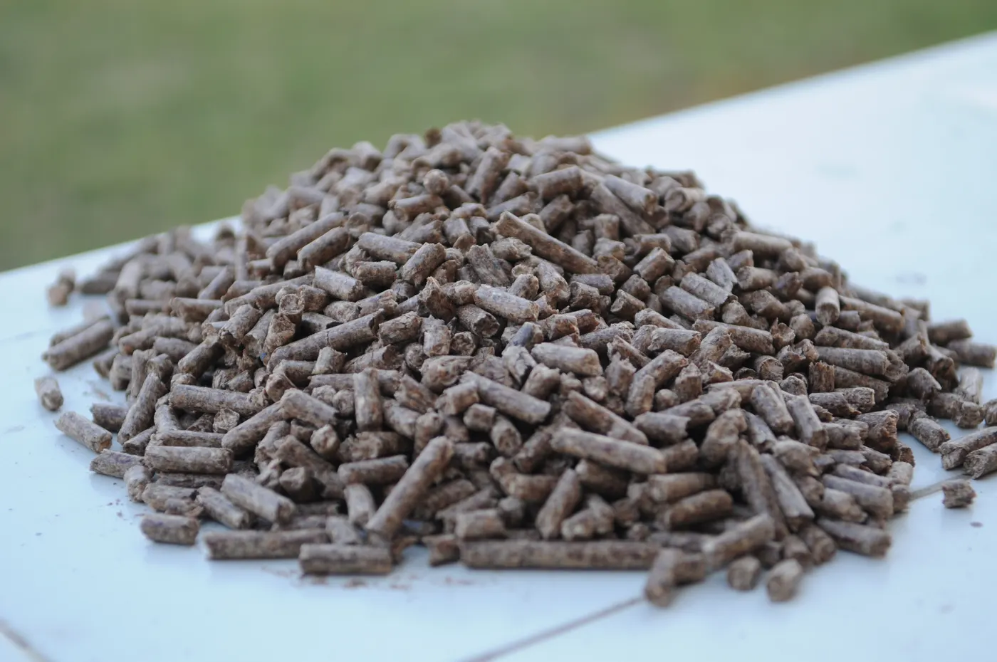 Granulés de bois utilisés pour un poêle à granulés